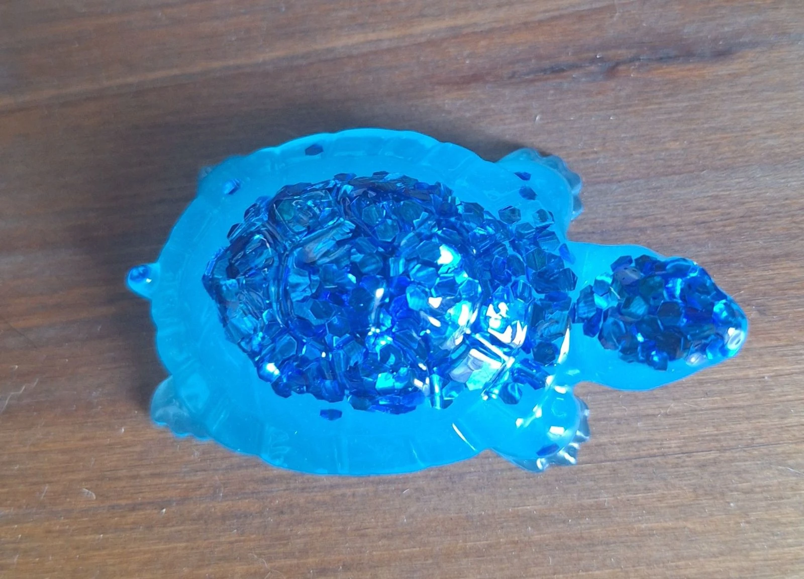 Tortue deco Vinie